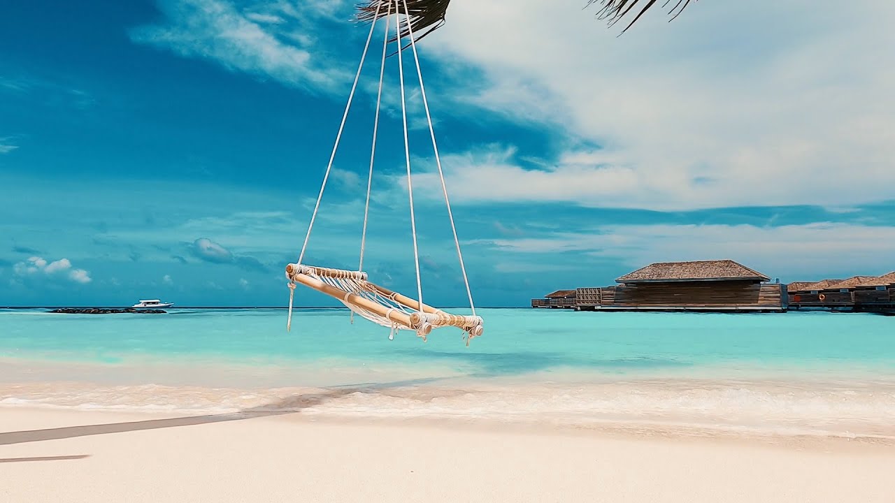 Relaxing piano music ocean waves: Beautiful Piano, Stress Relief, Wave Sounds | No copyright video