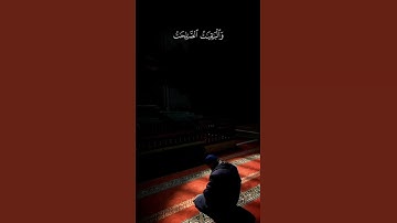 زينة الحياة وزاد الآخرة ✨ | تلاوة نادرة من سورة الكهف بصوت الشيخ #علي_جابر