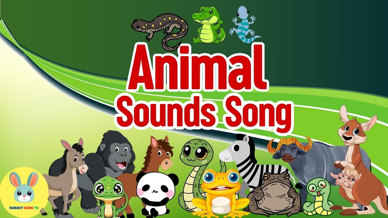 Safari Animal Sounds Song More | Zoo Animal Sounds Song | Rabbit Kids ...