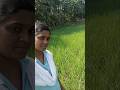 today minivlog #ilayarajamelodyhits #love #nature #naturelovers