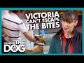 Even Victora Can't Escape This Dog's Nips and Bites! | It's Me or The Dog