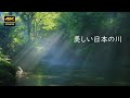 4K 美しい川霧と光芒 円原川 / 4K Beautiful river fog and rays of light