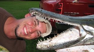 Top 10 Biggest Fresh Water Fish in the World