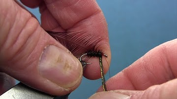 Peacock Herl Soft Hackle