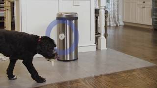 invisible fence shields gate