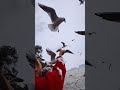 guess the place #music #travel #foryou #shortsfeed #fyp #music #2026 #birds