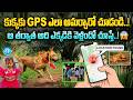 కుక్కకి GPS ట్రాకర్ పెట్టారు..! 😳 అది ఎటు వెళ్లిందో చూస్తే షాక్..! | Tuni Case