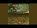 Miniature de la vidéo de la chanson Wintergreen