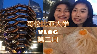 VLOG哥伦比亚大学上学日常| 纽约新地标大坚果| 哥大| ladyM |Laduree |Luke’s Lobster| 倾国|哥大