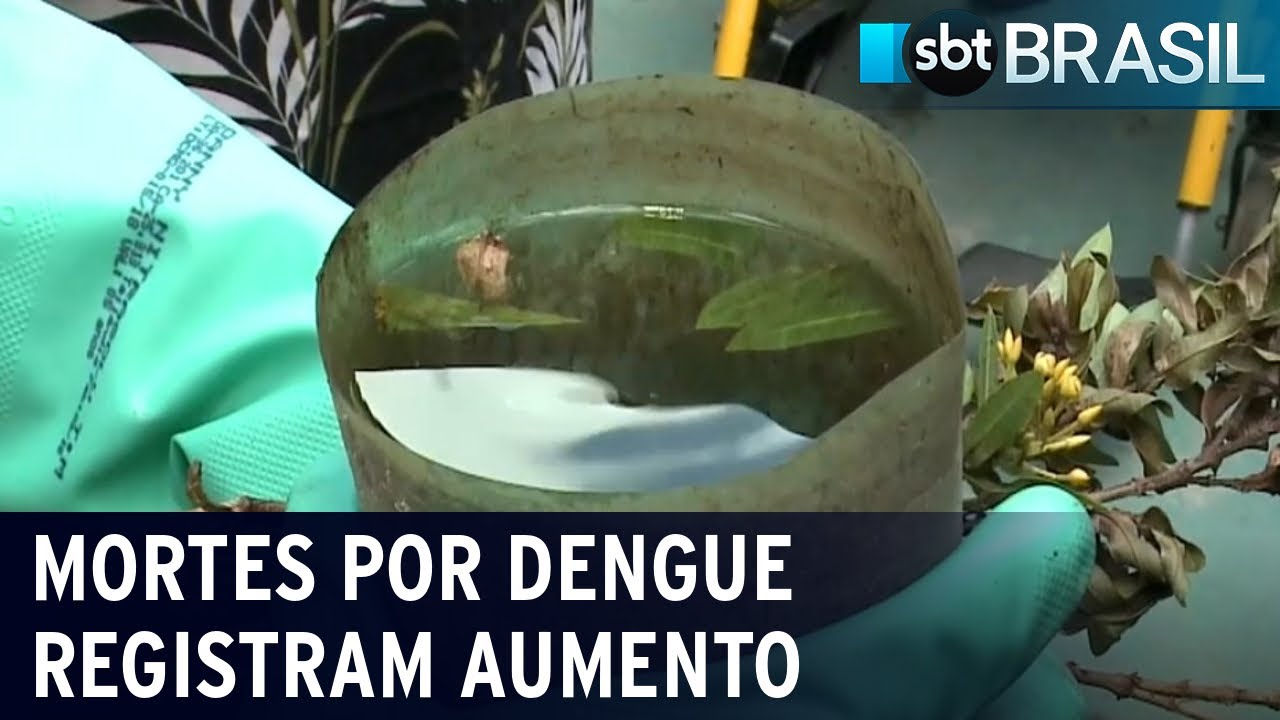 Mortes causadas pela dengue registram aumento de quase 400% | SBT Brasil (17/12/22)