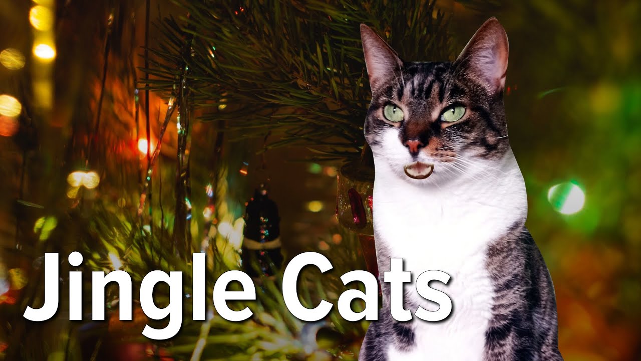 Jingle Cats 2023 Happy Jingle Jam! YouTube