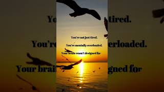 Why You Always Feel Tired Even After Rest Behavior Bites