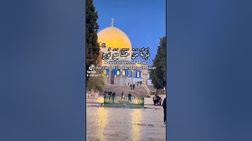 الشيخ ريان المحيسني @سورة الإسراء