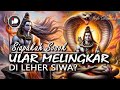 Siapakah sosok sebenarnya ular yang melingkar di leher siwa