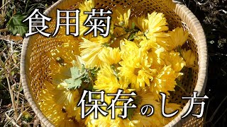 食用菊　保存方法　食用菊　効能　　Edible chrysanthemum preservation method Edible chrysanthemum efficacy