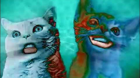 Numa cat In ES PC COMBO RJ KUMAR VERSION OF I KILLED