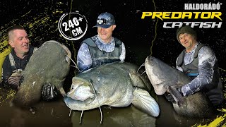 Gábor Döme - ON LEGENDARY CATFISH WATERS part 1. - The Giants of Ohat with Breakline Fishing Method