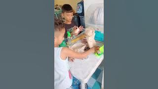 si tampo ay nainggit sa bagong laruan ni don david