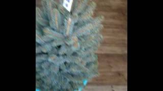 Christmas Tree.avi