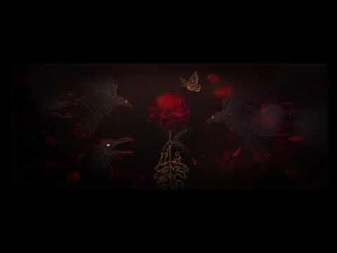 Nox - TOME ESSA ROSA, (PEQUENA BORBOLETA) — PT. 2