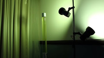 Demo of Hue lights controlled by luahue