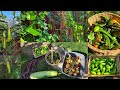 Harvesting Deshi Vegetables || Shokher Bagan 2024 || Gardening UK