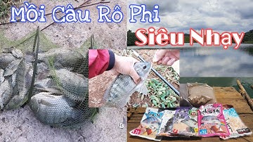 Chia sẻ mồi câu rô phi to hiệu quả, nhạy, chống móm | Cách tạo bãi câu giữ cá quấn ổ hay.