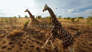UGANDA from Above | African Wildlife with an FPV drone