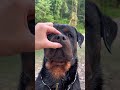 #YouTube #shorts #funny #video #shortvideo #short #love #entertainment #sorts #funny