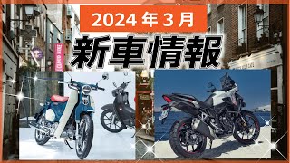 2024年3月新車情報】スーパーカブ値上げ、400㏄新型教習車など - YouTube