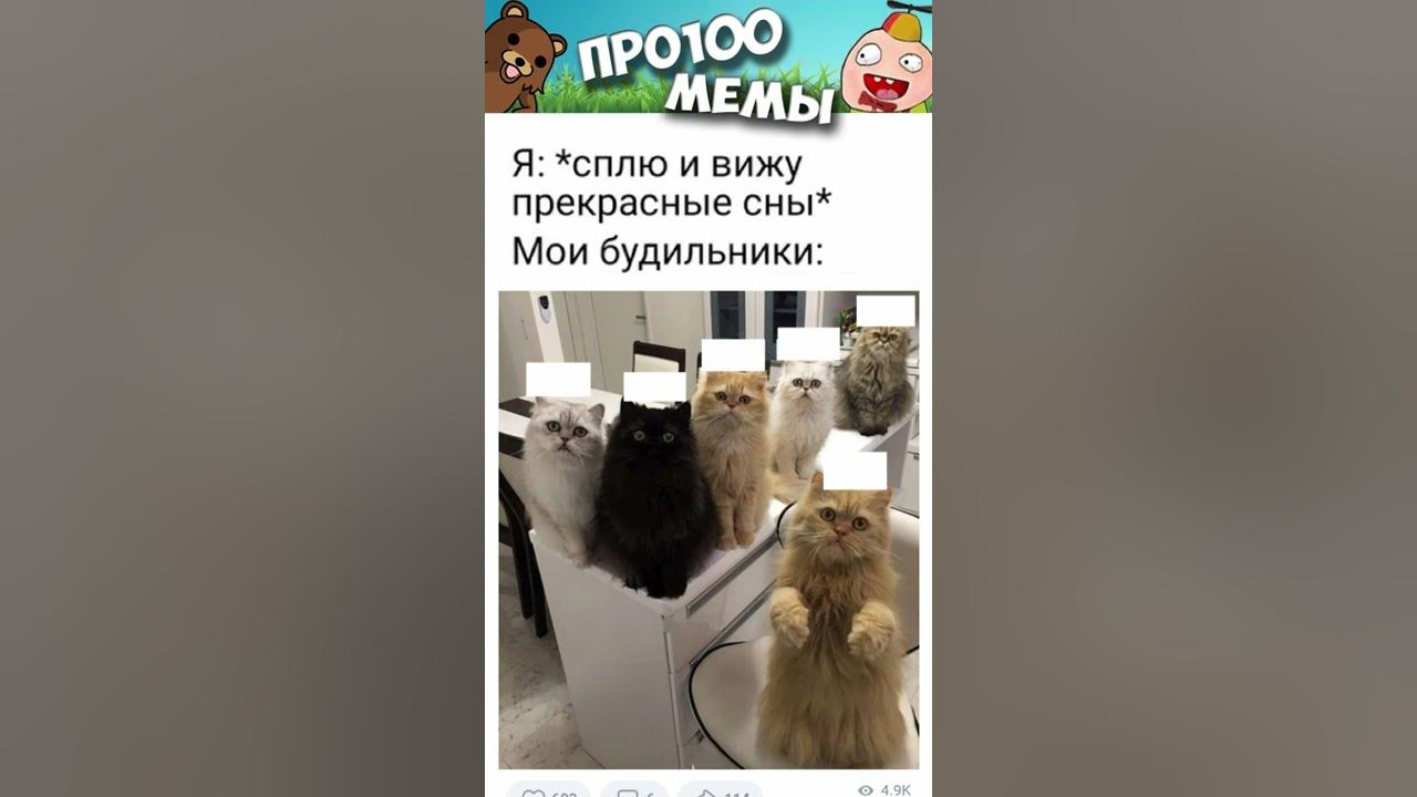 Мемы про каналы