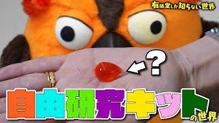 【夏休みの宿題…楽々クリア！】自由研究キットの世界 ～有隣堂しか知らない世界057～