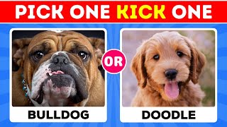 Pick One Kick One Dogs Edition  Quiz World Z