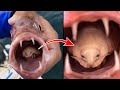 Terrifying  ZOMBIE ANIMALS Controlled By PARASITES