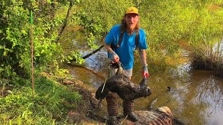 Weyerhaeuser “Pet Beaver” Have Dammed there last culver at this Hunting Club!!