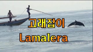 고래잡이 마을  Lamalera Indonesia