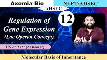 Molecular Basis of Inheritance|Lecture 12| Regulation of Gene Expression| Dr. Rajib Borah|Axomia Bio
