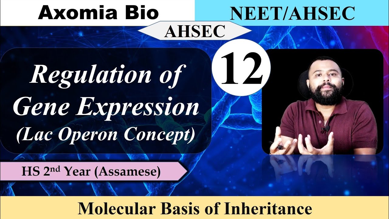 Molecular Basis of Inheritance|Lecture 12| Regulation of Gene Expression| Dr. Rajib Borah|Axomia Bio
