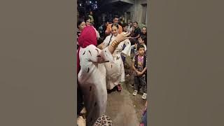 أفراح الشارع غير 💃 كلها ع قد ال قد .. يلا بينا 😀🤌