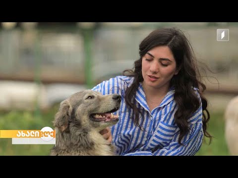 „აკის პარკი“ გლდანის კოლორიტ ძაღლს, ბობის და მიუსაფარ ცხოველებზე მზრუნველ გოგონას გაგვაცნობს