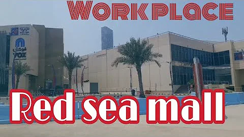 @My Working Place +Daily Routine