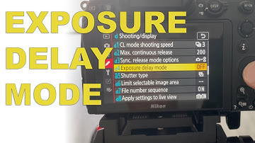 Exposure Delay Mode