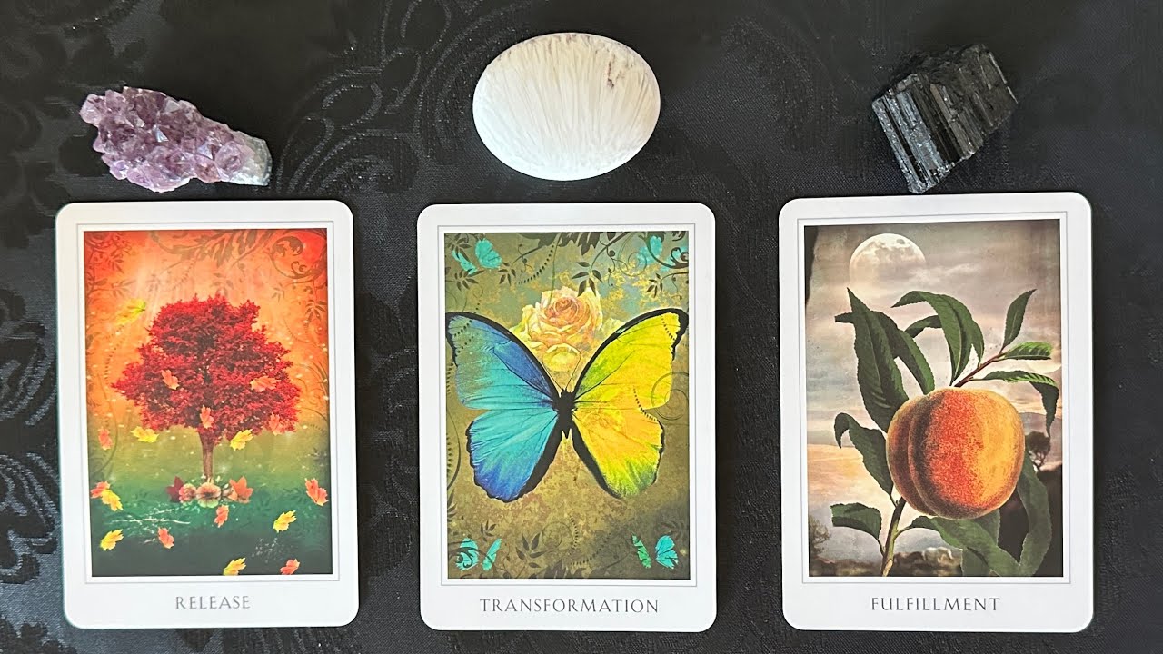 🥹How Do They Really FEEL About You Now?? (in-depth) ❤️🌳🦋🍑 *Pick A Card* Timeless Psychic Love Tarot 