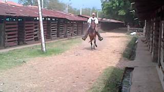 VID-20120829-00022.3GP hija obsesivo de la luisa