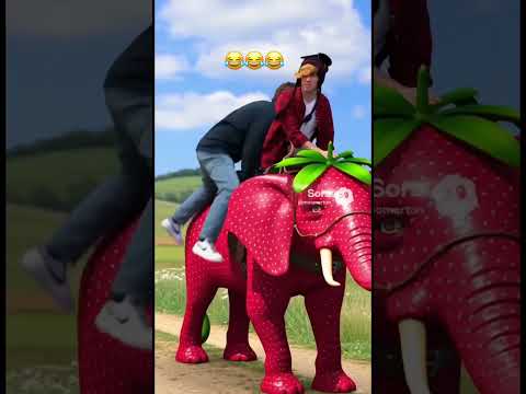 We Are Low Key Cooked Funny Soralife Wgitachi Comedy Roblox Stealabrainrot