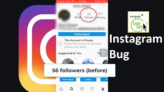 What!! Is this an Instagram Bug? | Instagram Followers Error