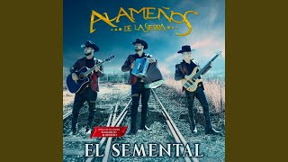 Video thumbnail of "Alameños de la Sierra - Soldadito Marinero"