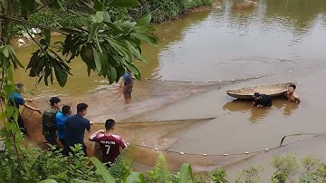 Kéo cá#xuhuongyoutube