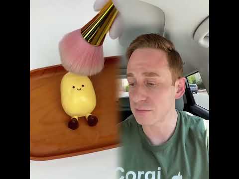 Lazy Dog Avoids Her CHORES Shorts Funny Funnydogs Pov