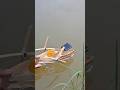 How to make a Solar Powered Boat for school project 🏫 #shorts #diy #tech
